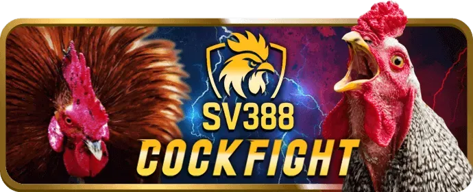 Khuyến mãi u88 bet 2026